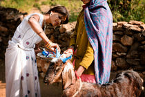 Villagers in Udaipur III von Tom Hanslien