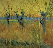 Gekappte Weiden und Sonnenaufgang von Vincent Van Gogh
