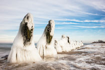 Winter von Rico Ködder