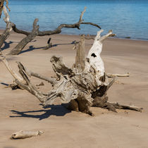 Natural Woodworking von John Bailey