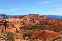 Red Landscape von John Bailey