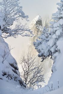 Bayern im Winter von Björn Kindler