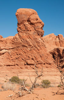 Natural Sculpture by John Bailey