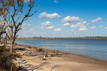 View From Big Talbot Island Beach by John Bailey