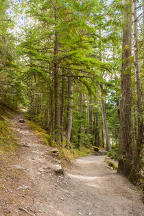 You Take The High Road And I'll Take The Low Road von John Bailey