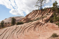 Rippled Rock At Zion National Park by John Bailey