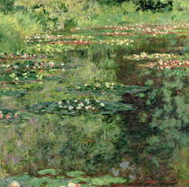 Seerosenteich von Claude Monet