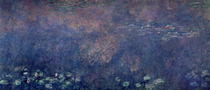 Seerosen mit Trauerweiden, Detail Mitte-links von Claude Monet