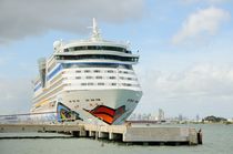 AIDAbella at Port Canaveral von Bradford Martin