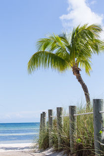 Path To The Sea by John Bailey