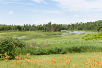 Pretty Countryside von John Bailey