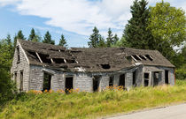 Abandoned von John Bailey