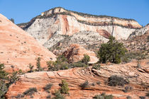 Magnificent Zion by John Bailey