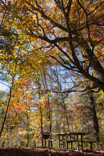 Picnic In Autumn von John Bailey