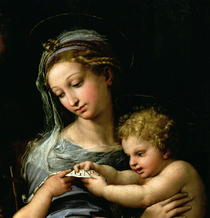 The Virgin of the Rose von Raffaello Sanzio of Urbino