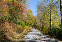 Colorful Drive von John Bailey