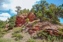 Custer State Park Ecology von John Bailey