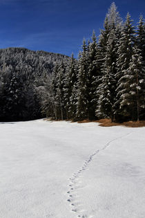 Winterwanderung von jaybe