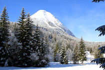 Winterlandschaft von jaybe