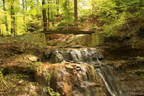 Autumn creek in forest von amineah