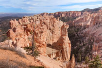 Black Birch Canyon Lookout von John Bailey