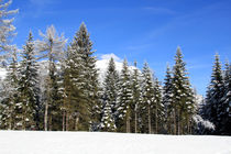 Winterlandschaft von jaybe