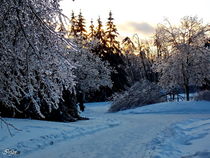 Sunset after Ice Storm  by Irfan Gillani