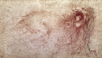 Sketch of a roaring lion by Leonardo Da Vinci