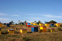 Coloured bee-hives - Chalkidiki - Greece by Jörg Sobottka