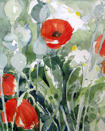 Mohn mit Margeriten by Sonja Jannichsen