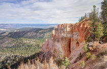 Black Birch Canyon von John Bailey