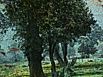 landscape no.I by urs-foto-art