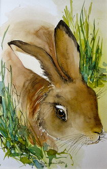 Hase oder Osterhase? by Sonja Jannichsen