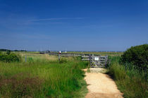 Approach to the Wooden Bridge, Newtown von Rod Johnson