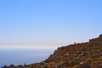 Goat at Crete, Greece by Jörg Sobottka