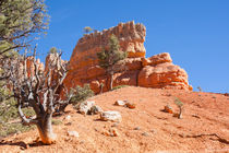 Rocky Top von John Bailey