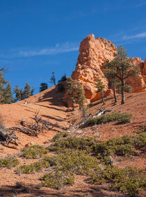 The Rock At The Top von John Bailey