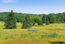 Old Hay Wagon by John Bailey