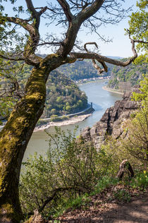 Traumblick vom Spitznack zur Loreley II von Erhard Hess