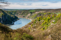 Rheintal beim Spitznack 8 by Erhard Hess