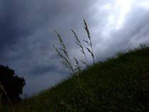 Bergwiese, breit by DoC GermaniCus Fotografie