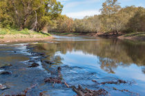 The Great Leech Of The Hiwassee River von John Bailey