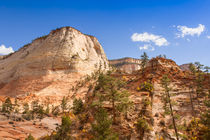 Ridge At Zion by John Bailey