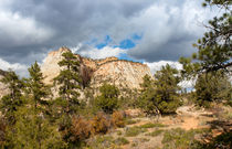 Zion Meets The Sky von John Bailey