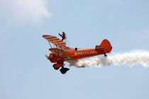 Wing Walker 1 von Steve Ball