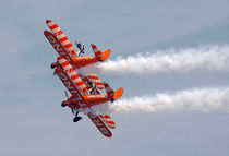 Wing Walkers 2 by Steve Ball