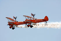 Wing Walkers 3 by Steve Ball