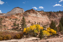 Colorful Zion von John Bailey