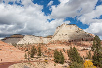 Scenic Zion Drive by John Bailey