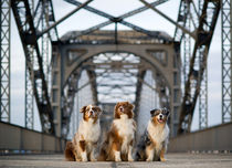 Auf der Brücke by Annett Mirsberger